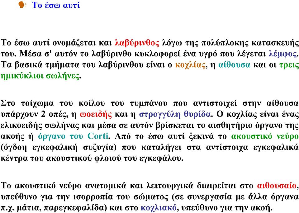 Στο τοίχωμα του κοίλου του τυμπάνου που αντιστοιχεί στην αίθουσα υπάρχουν 2 οπές, η ωοειδής και η στρογγύλη θυρίδα.