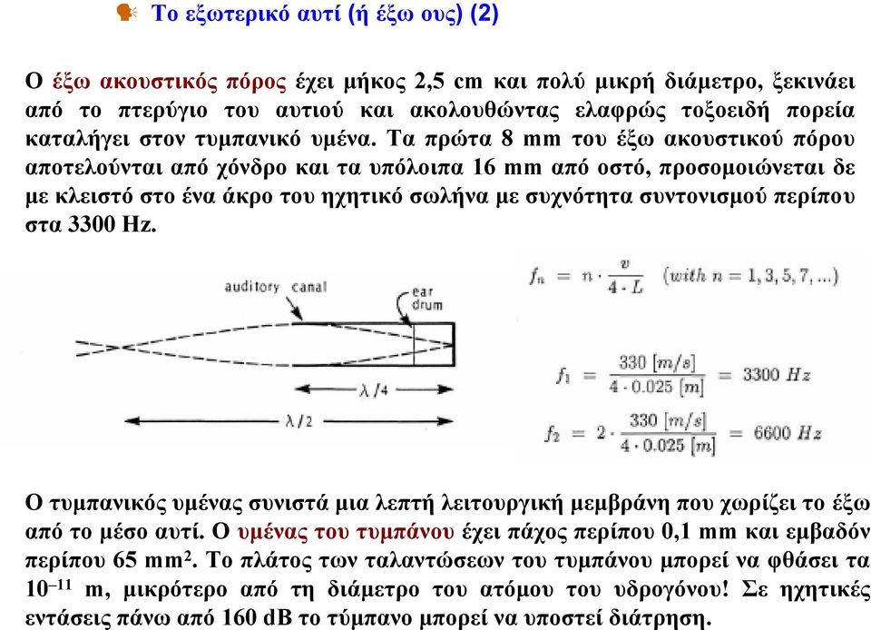 Τα πρώτα 8 mm του έξω ακουστικού πόρου αποτελούνται από χόνδρο και τα υπόλοιπα 16 mm από οστό, προσομοιώνεται δε με κλειστό στο ένα άκρο του ηχητικό σωλήνα με συχνότητα συντονισμού περίπου στα