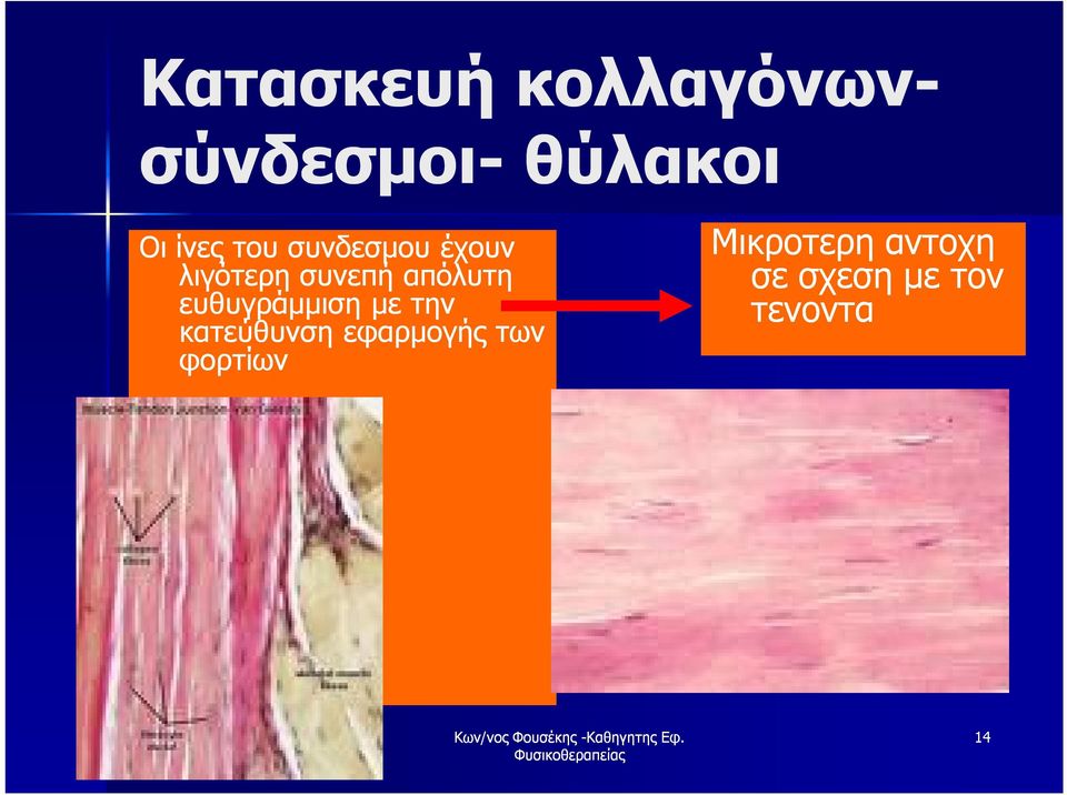 απόλυτη ευθυγράμμιση με την κατεύθυνση