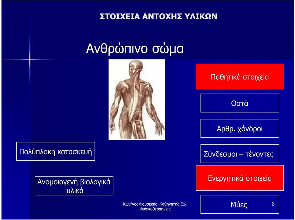 χόνδροι Πολύπλοκη κατασκευή Σύνδεσμοι