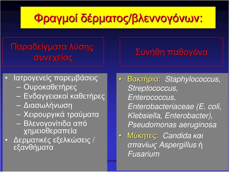 εξελκώσεις / εξανθήματα Βακτήρια: Staphylococcus, Streptococcus, Enterococcus, Enterobacteriaceae (E.