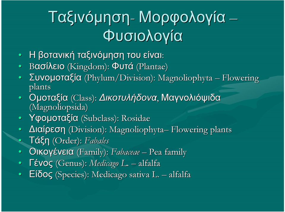 (Magnoliopsida) Υφομοταξία (Subclass): Rosidae Διαίρεση (Division): Magnoliophyta Flowering plants Τάξη (Order):