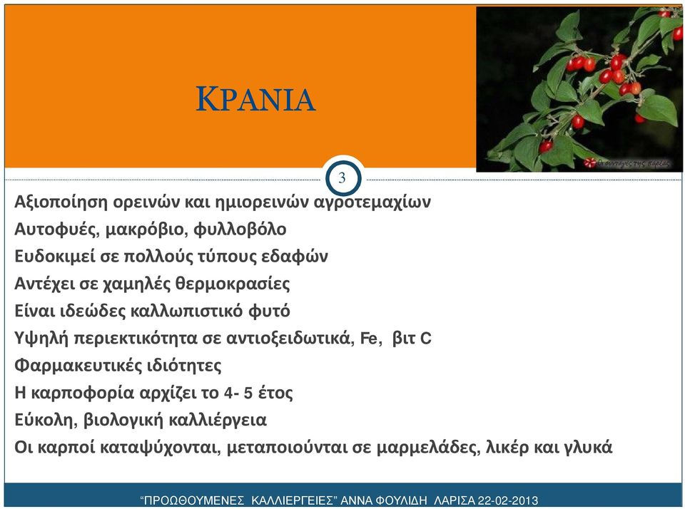 περιεκτικότητα σε αντιοξειδωτικά, Fe, βιτ C Φαρμακευτικές ιδιότητες Η καρποφορία αρχίζει το 4-5