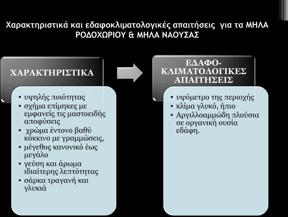 γραμμώσεις, μέγεθος κανονικό έως μεγάλο γεύση και άρωμα ιδιαίτερης λεπτότητας σάρκα τραγανή και γλυκιά