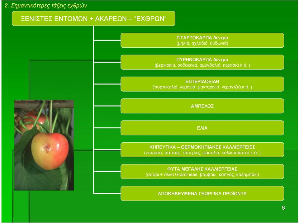 ά..) ΑΜΠΕΛΟΣ ΕΛΙΑ ΚΗΠΕΥΤΙΚΑ ΘΕΡΜΟΚΗΠΙΑΚΕΣ ΚΑΛΛΙΕΡΓΕΙΕΣ (ντοµάτα, πατάτες, πιπεριές, φασόλια, καλλωπιστικά κ.ά..)