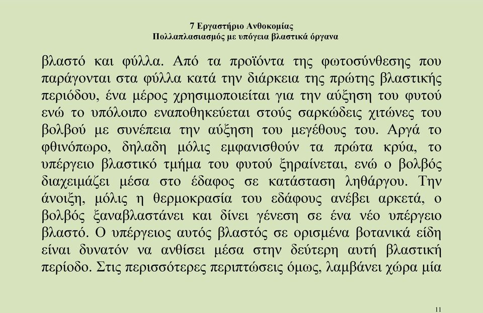 στούς σαρκώδεις χιτώνες του βολβού με συνέπεια την αύξηση του μεγέθους του.