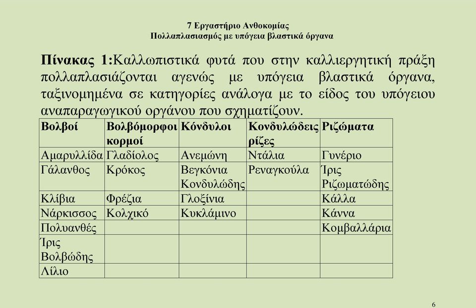 Βολβοί Βολβόμορφοι Κόνδυλοι Κονδυλώδεις Ριζώματα κορμοί ρίζες Αμαρυλλίδα Γλαδίολος Ανεμώνη Ντάλια Γυνέριο Γάλανθος Κρόκος