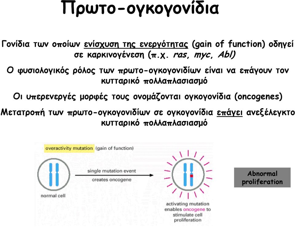 ras, myc, Abl) Ο φυσιολογικός ρόλος των πρωτο-ογκογονιδίων είναι να επάγουν τον κυτταρικό