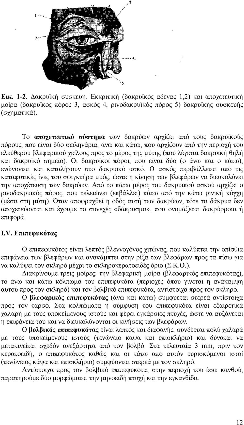 (που λέγεται δακρυϊκή θηλή και δακρυϊκό σηµείο). Οι δακρυϊκοί πόροι, που είναι δύο (ο άνω και ο κάτω), ενώνονται και καταλήγουν στο δακρυϊκό ασκό.