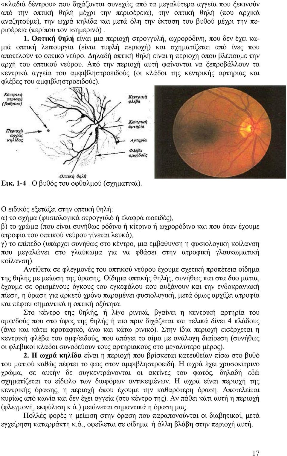 Οπτική θηλή είναι µια περιοχή στρογγυλή, ωχρορόδινη, που δεν έχει κα- µιά οπτική λειτουργία (είναι τυφλή περιοχή) και σχηµατίζεται από ίνες που αποτελούν το οπτικό νεύρο.