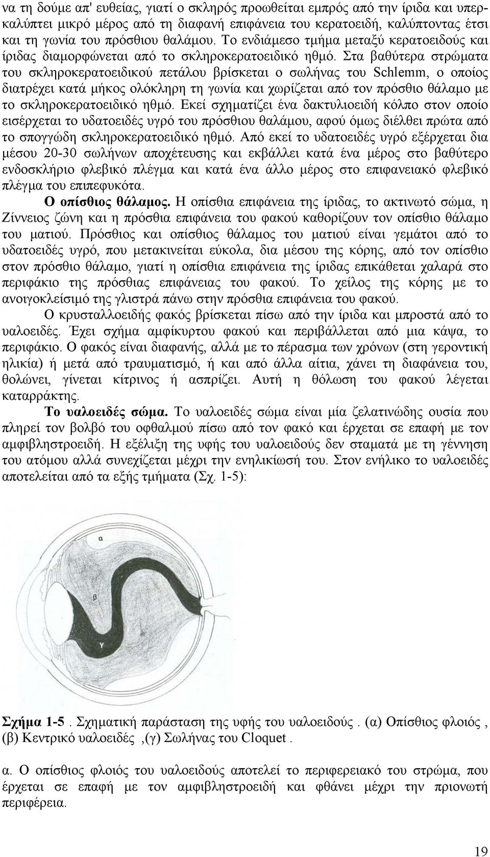 Στα βαθύτερα στρώµατα του σκληροκερατοειδικού πετάλου βρίσκεται ο σωλήνας του Schlemm, ο οποίος διατρέχει κατά µήκος ολόκληρη τη γωνία και χωρίζεται από τον πρόσθιο θάλαµο µε το σκληροκερατοειδικό