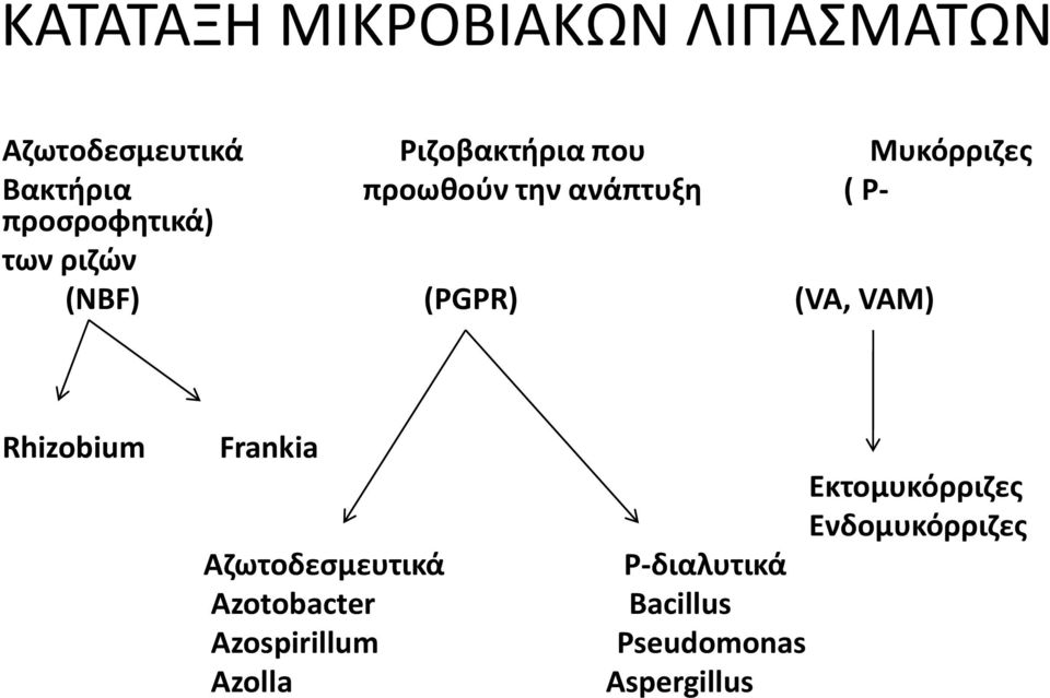 (NBF) (PGPR) (VA, VAM) Rhizobium Frankia Αζωτοδεσμευτικά Azotobacter