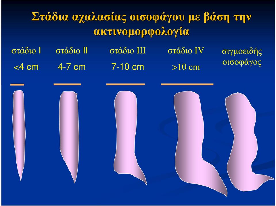 στάδιο ΙΙ 4-7 cm στάδιο ΙΙΙ 7-10 cm