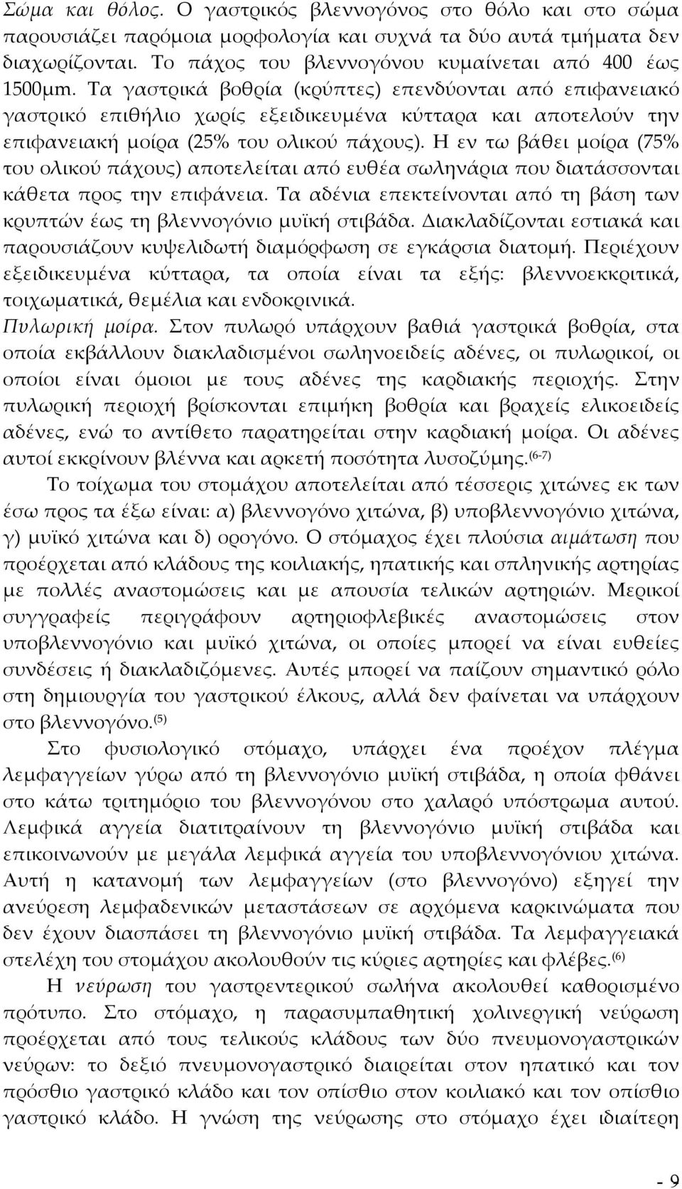 Η εν τω βάθει μοίρα (75% του ολικού πάχους) αποτελείται από ευθέα σωληνάρια που διατάσσονται κάθετα προς την επιφάνεια.