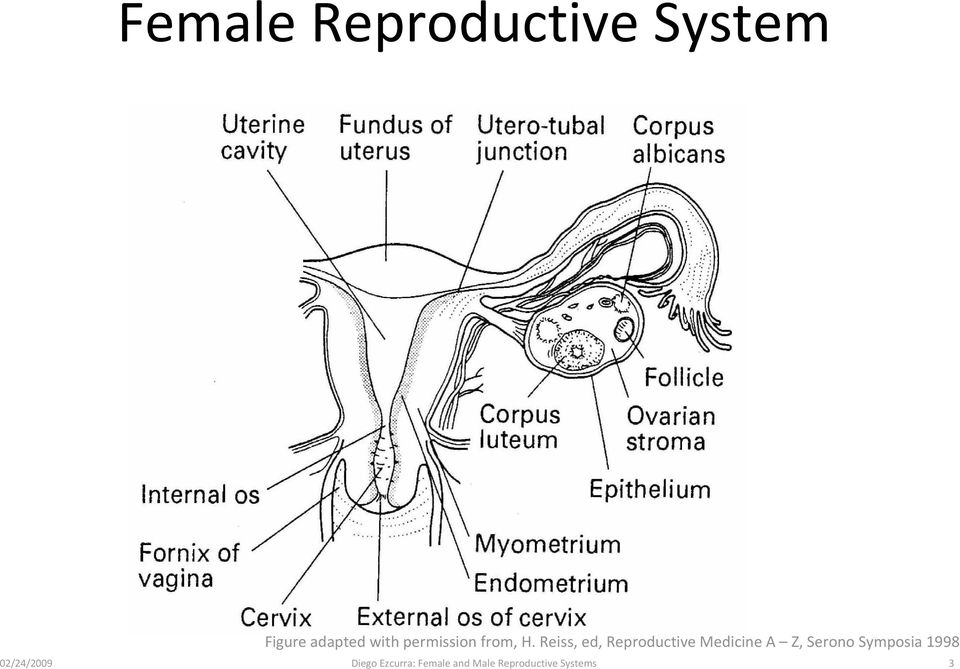 Reiss, ed, Reproductive Medicine A Z, Serono