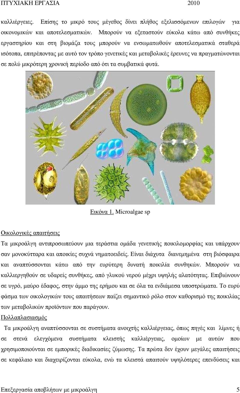 έρευνες να πραγµατώνονται σε πολύ µικρότερη χρονική περίοδο από ότι τα συµβατικά φυτά. Εικόνα 1.