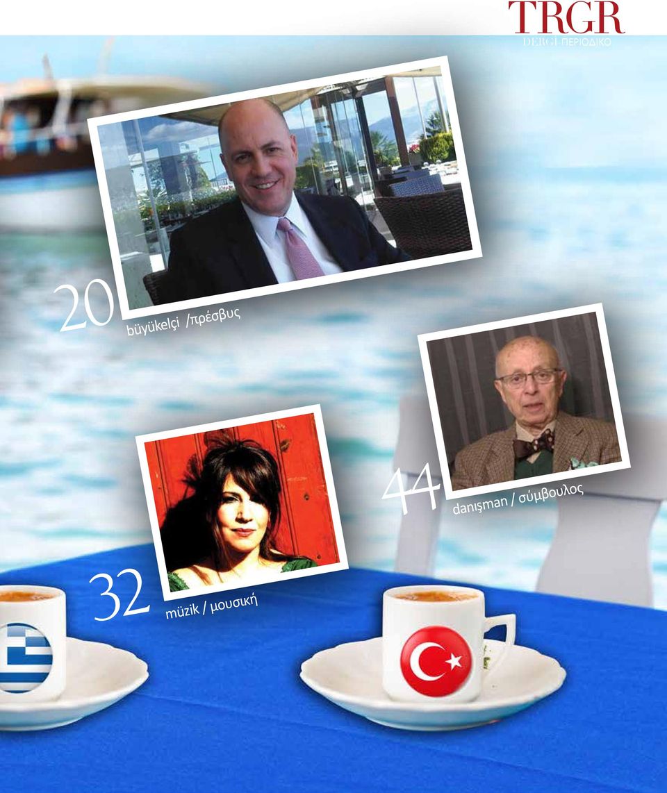 danışman / σύμβουλος