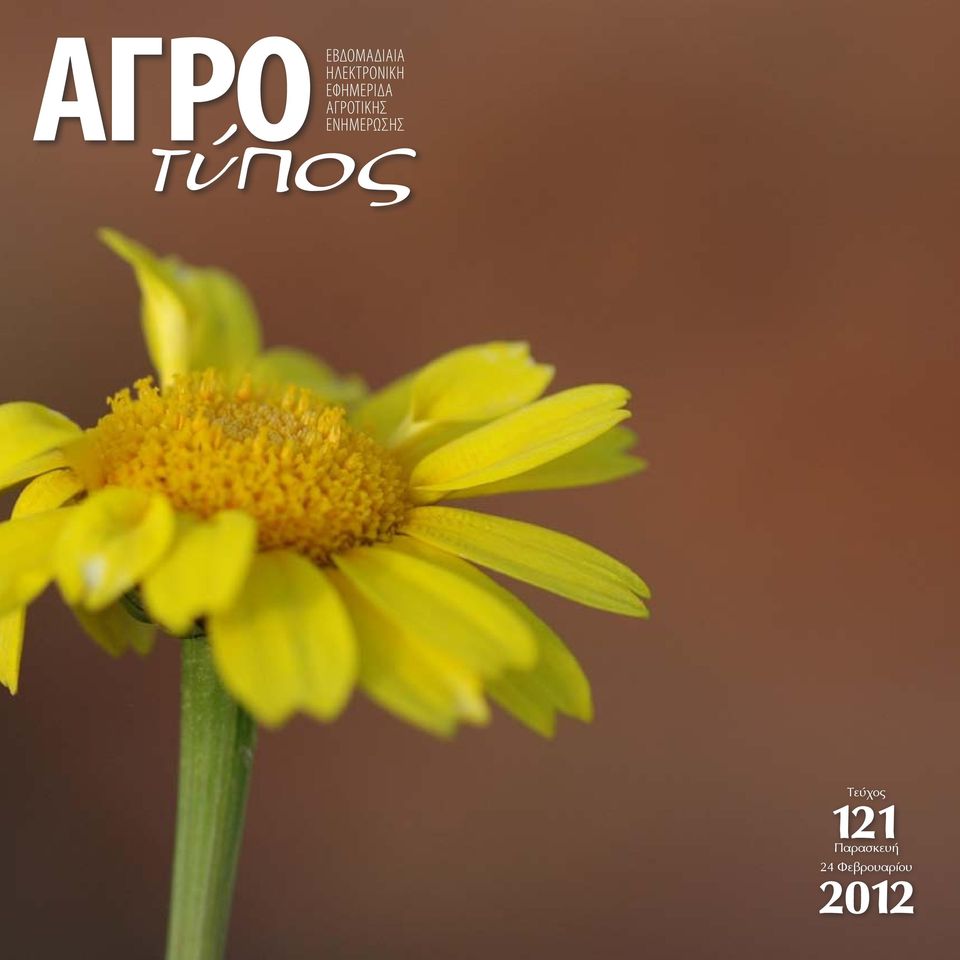 Τεύχς 121
