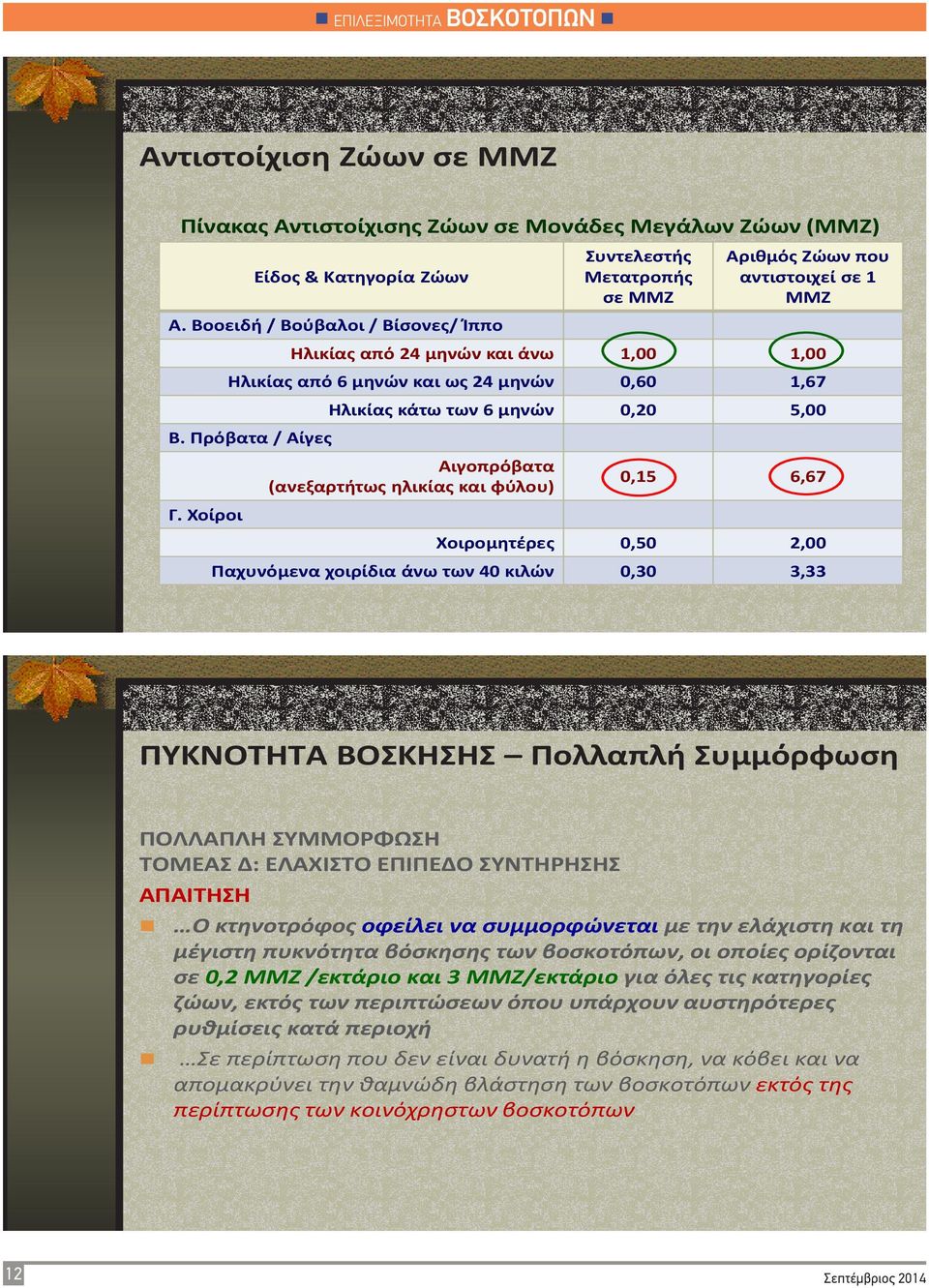Ρρόβατα / Αίγεσ Γ.