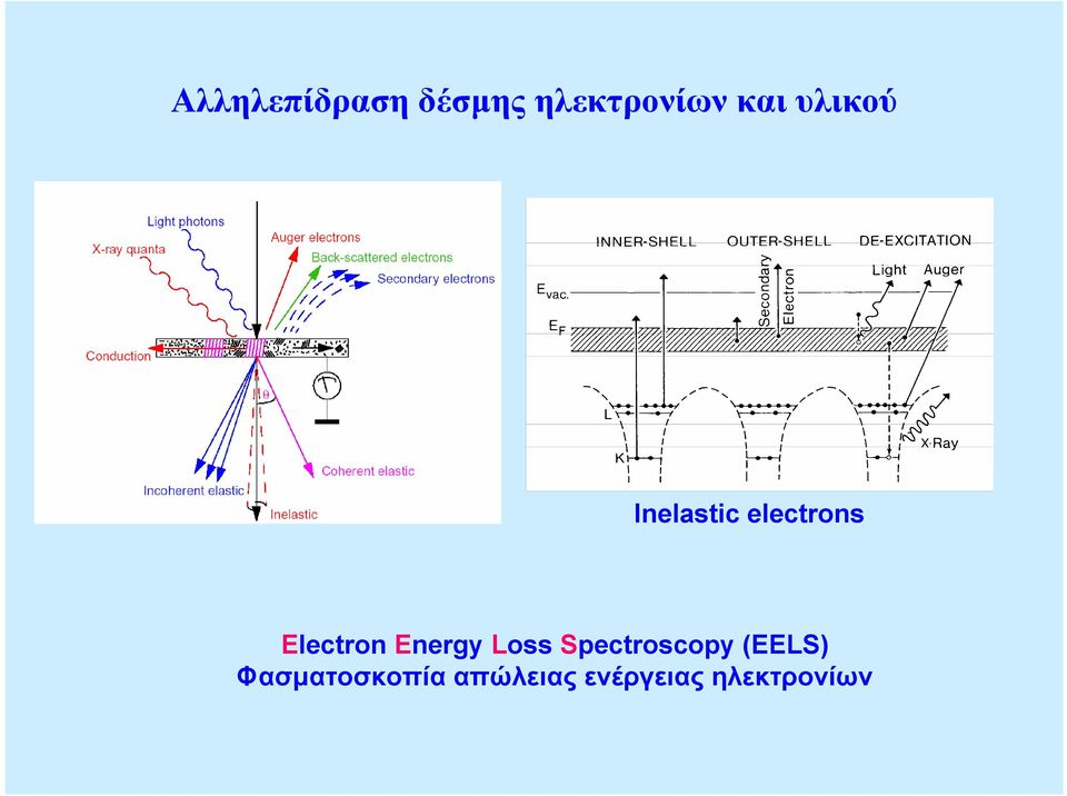 Energy Loss Spectroscopy (EELS)