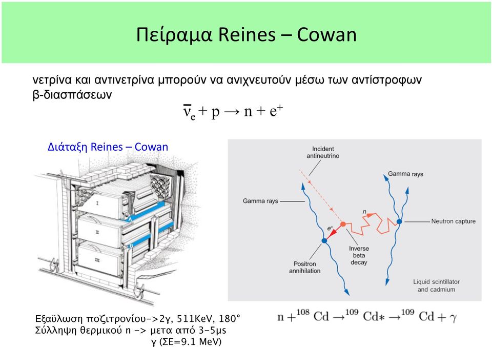 αντίστροφων β-διασπάσεων ν e + p n + e + Εξαϋλωση