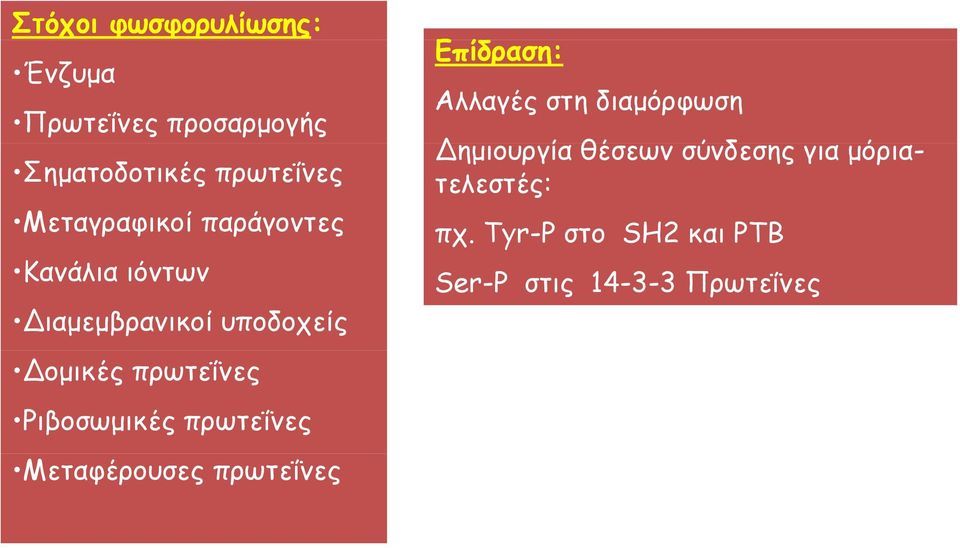 Ριβοσωμικές πρωτεΐνες Μεταφέρουσες πρωτεΐνες Επίδραση: Αλλαγές στη διαμόρφωση