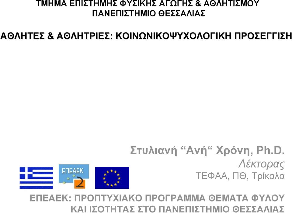 Στυλιανή Ανή Χρόνη, Ph.D.