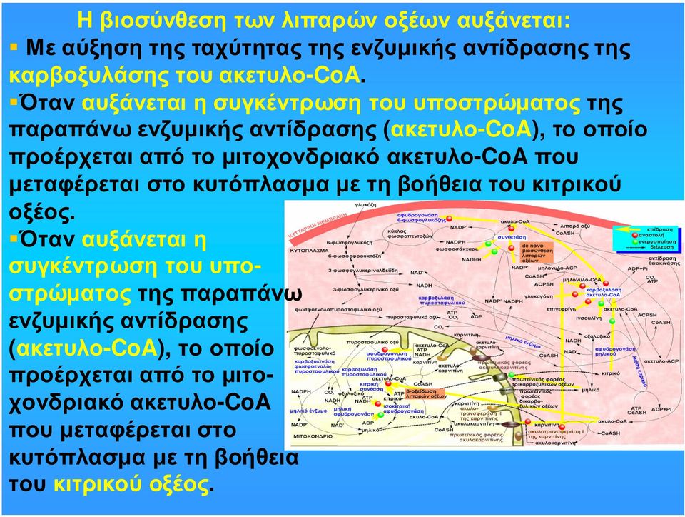 ακετυλο-coa που µεταφέρεται στο κυτόπλασµα µε τη βοήθεια του κιτρικού οξέος.