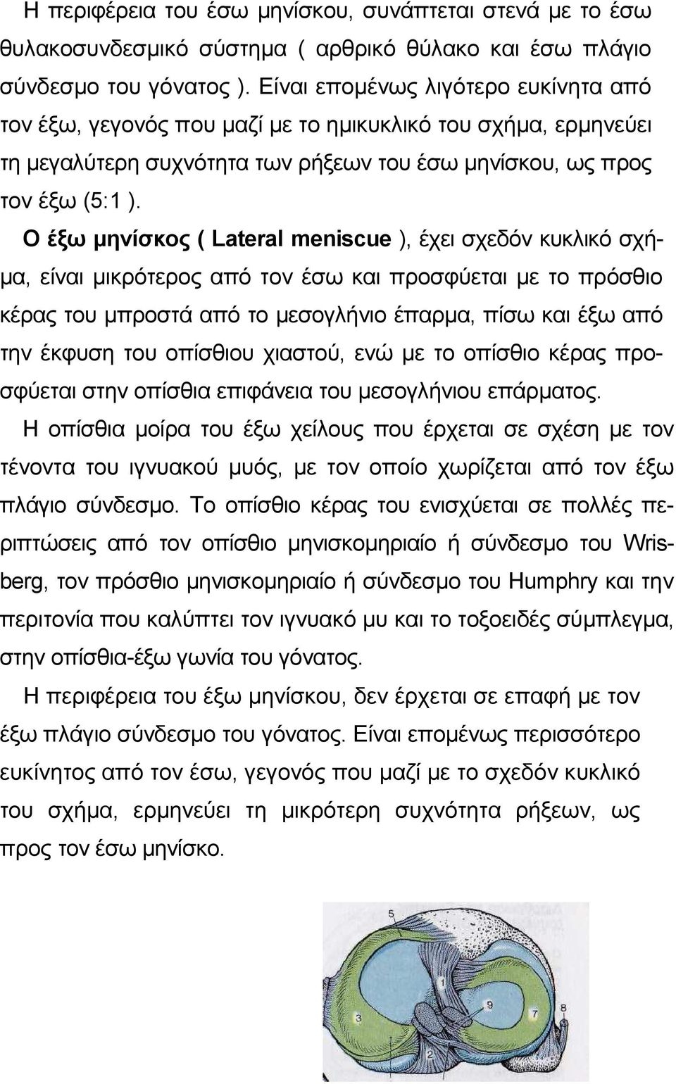 Ο έξω µηνίσκος ( Lateral meniscue ), έχει σχεδόν κυκλικό σχή- µα, είναι µικρότερος από τον έσω και προσφύεται µε το πρόσθιο κέρας του µπροστά από το µεσογλήνιο έπαρµα, πίσω και έξω από την έκφυση του