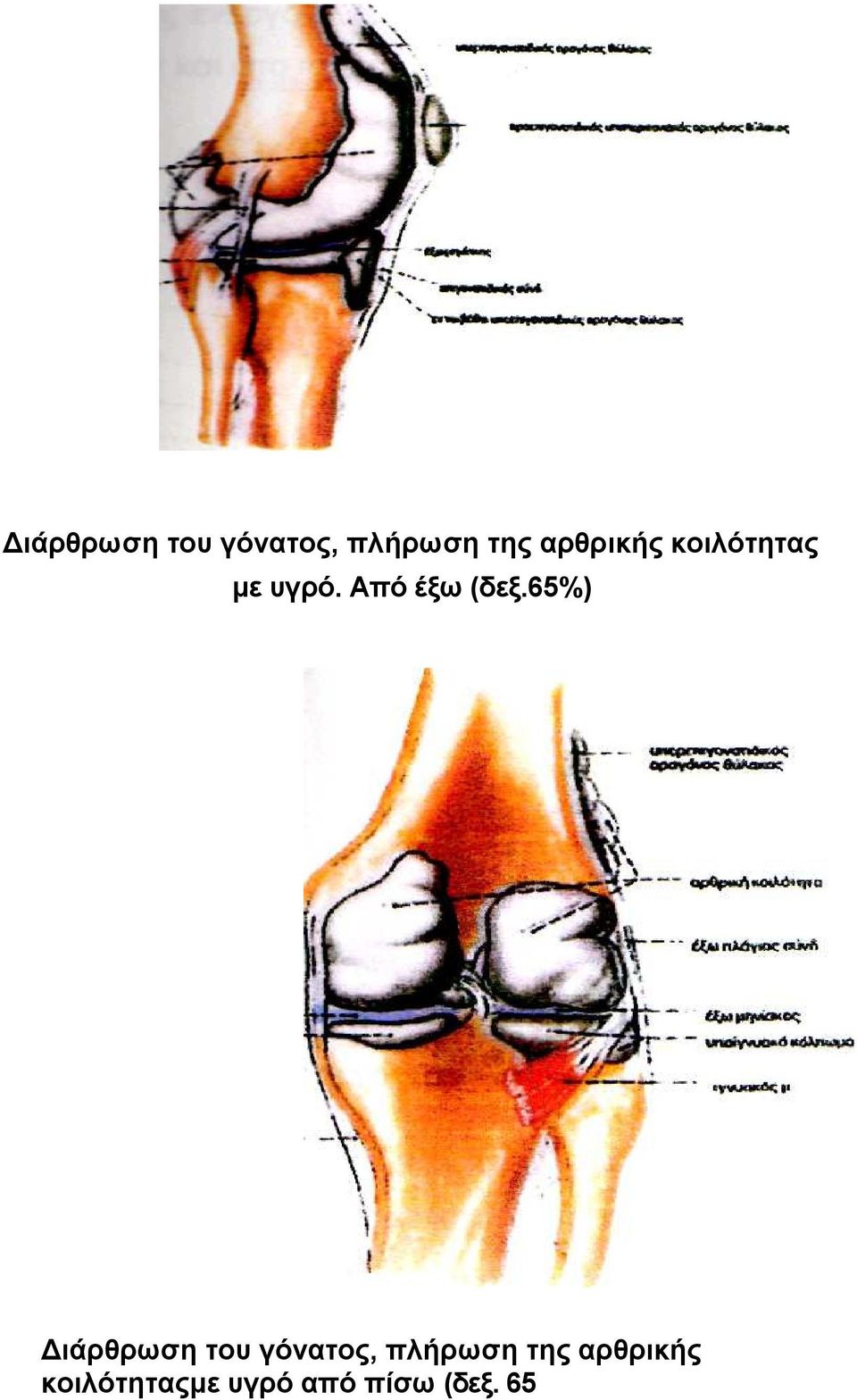 Από έξω (δεξ.