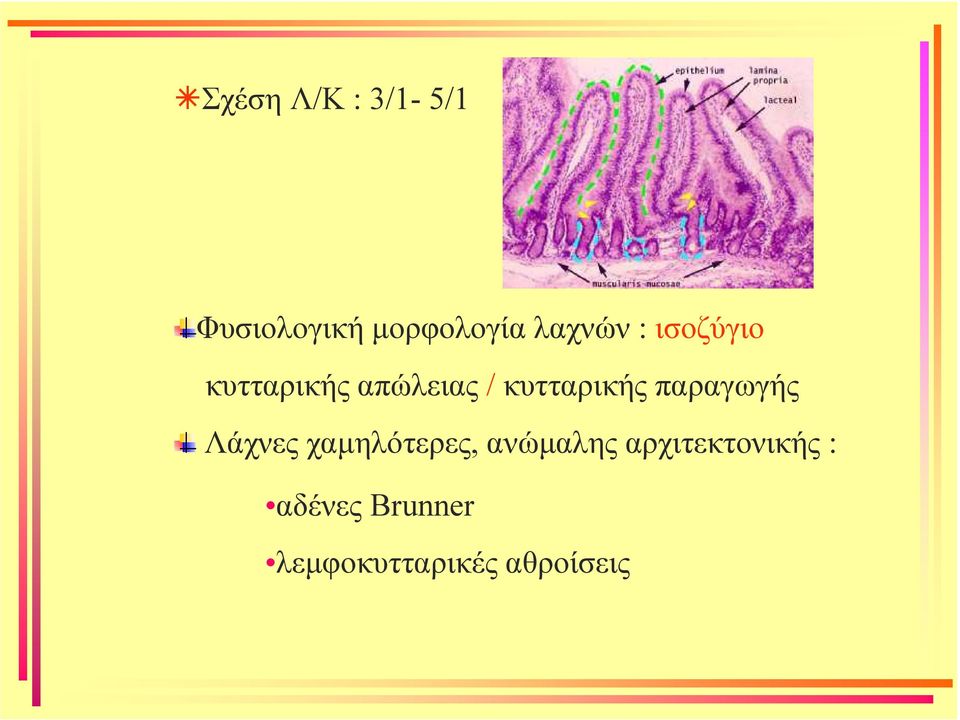 κυτταρικής παραγωγής Λάχνες χαµηλότερες,