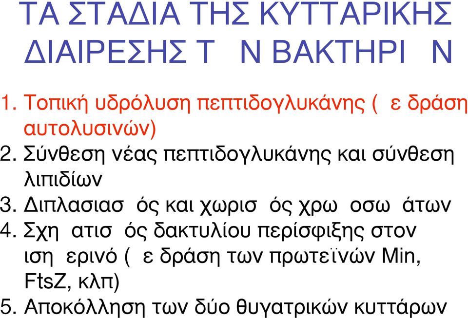 Σύνθεση νέας πεπτιδογλυκάνης και σύνθεση λιπιδίων 3.