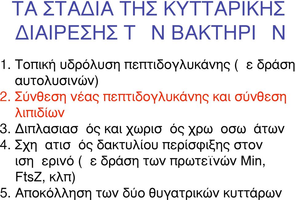 Σύνθεση νέας πεπτιδογλυκάνης και σύνθεση λιπιδίων 3.