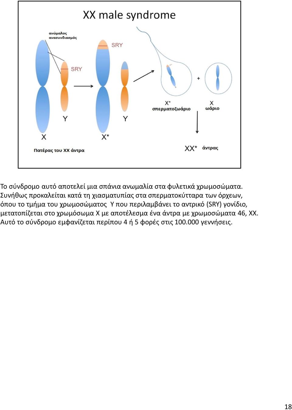 χρωμοσώματος Υ που περιλαμβάνει το αντρικό (SRY) γονίδιο, μετατοπίζεται στο χρωμόσωμα X με