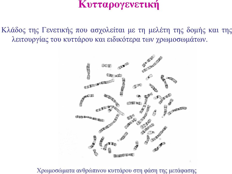 λειτουργίας του κυττάρου και ειδικότερα των