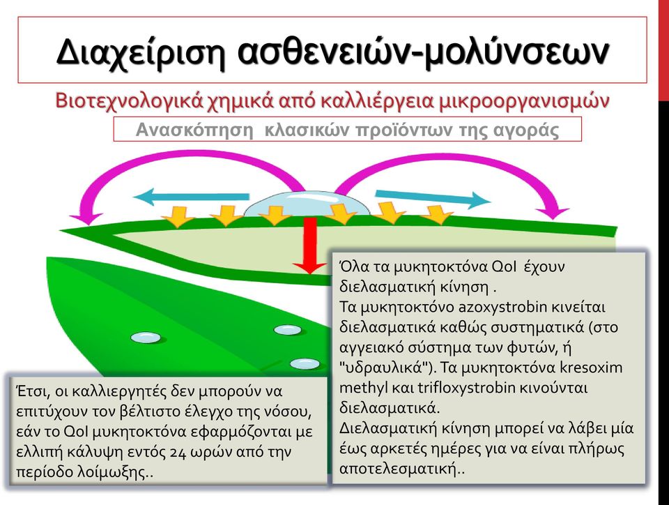 Τα μυκητοκτόνο azoxystrobin κινείται διελασματικά καθώς συστηματικά (στο αγγειακό σύστημα των φυτών, ή "υδραυλικά").