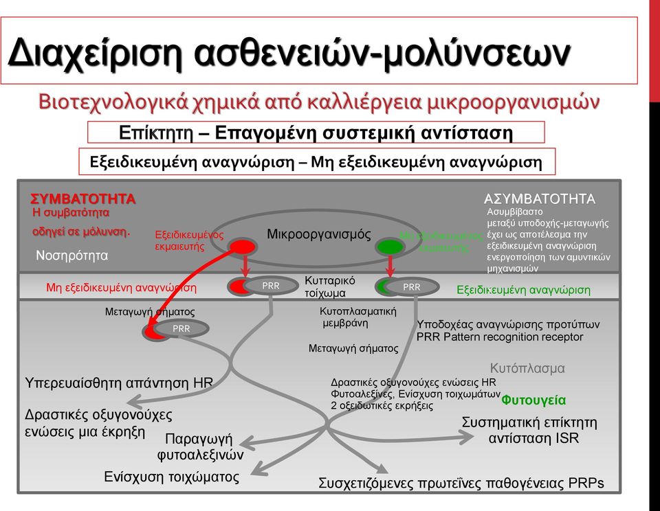 σήματος PRR Υπερευαίσθητη απάντηση HR Δραστικές οξυγονούχες ενώσεις μια έκρηξη Παραγωγή φυτοαλεξινών Ενίσχυση τοιχώματος Μικροοργανισμός PRR Κυτταρικό τοίχωμα Κυτοπλασματική μεμβράνη Μεταγωγή σήματος