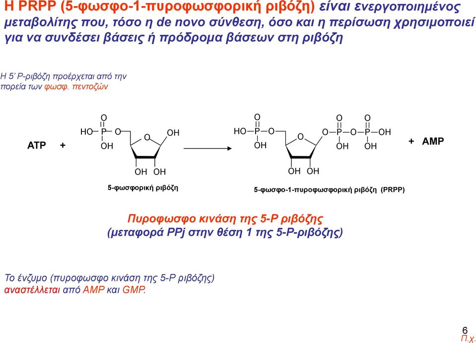 πεντοζών ΑΤΡ + H P H H H P H P H P H H + ΑΜΡ H H H H 5-φωσφορική ριβόζη 5-φωσφο-1-πυροφωσφορική ριβόζη (PRPP) Πυροφωσφο