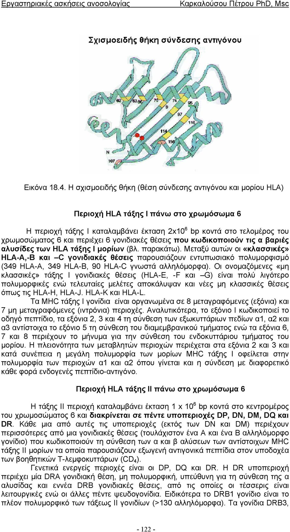 περιέχει 6 γονιδιακές θέσεις που κωδικοποιούν τις α βαριές αλυσίδες των HLA τάξης Ι µορίων (βλ. παρακάτω).