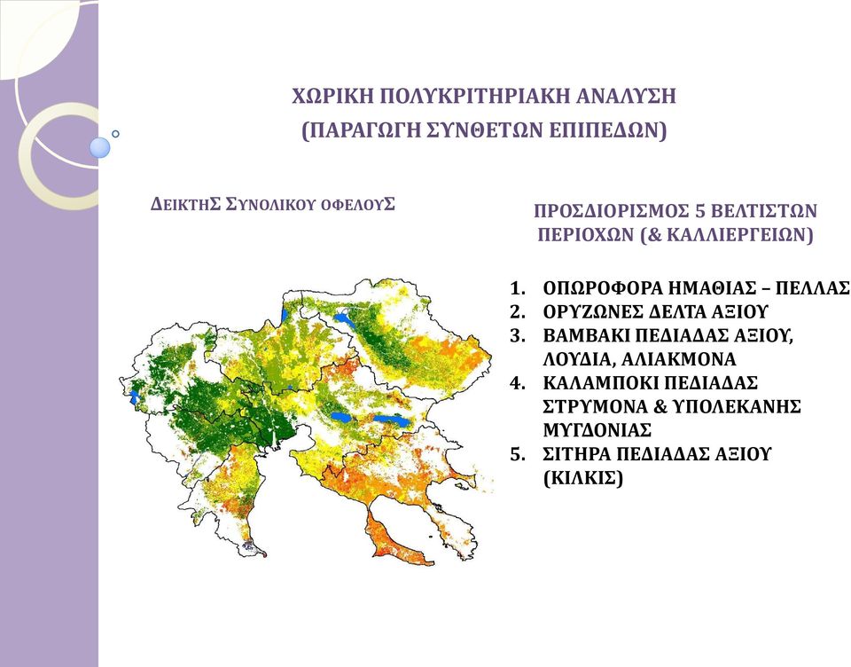 ΟΠΩΡΟΦΟΡΑ ΗΜΑΘΙΑΣ ΠΕΛΛΑΣ 2. ΟΡΥΖΩΝΕΣ ΔΕΛΤΑ ΑΞΙΟΥ 3.