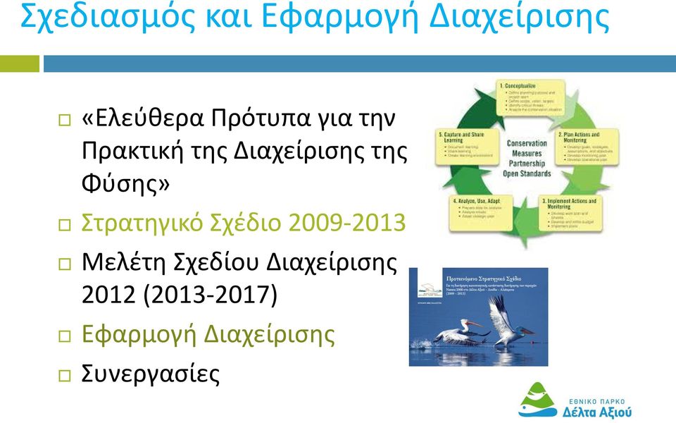 Φύσης» Στρατηγικό Σχέδιο 2009-2013 Μελέτη Σχεδίου