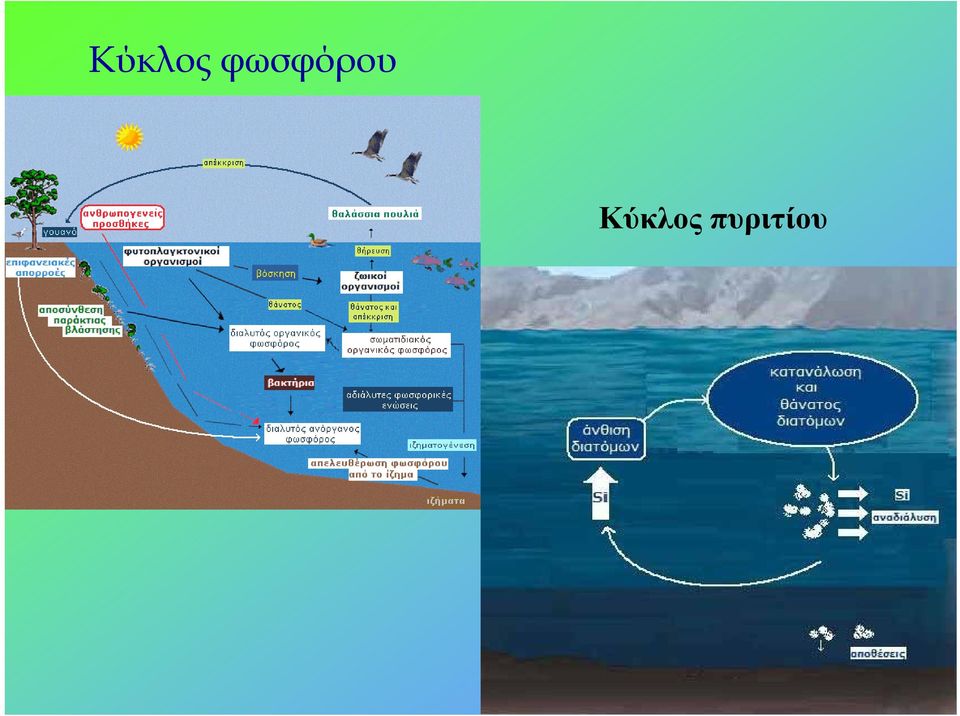 Kύκλος