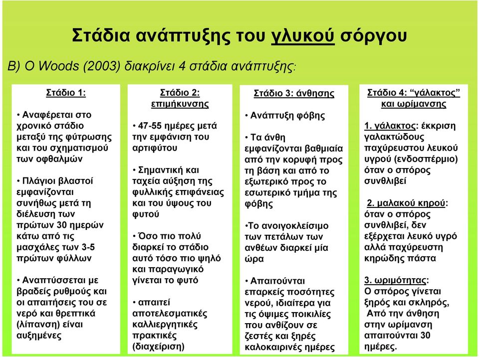 αυξημένες Στάδιο 2: επιμήκυνσης 47-55 ημέρες μετά την εμφάνιση του αρτιφύτου Σημαντική και ταχεία αύξηση της φυλλικής επιφάνειας και του ύψους του φυτού Όσο πιο πολύ διαρκεί το στάδιο αυτό τόσο πιο