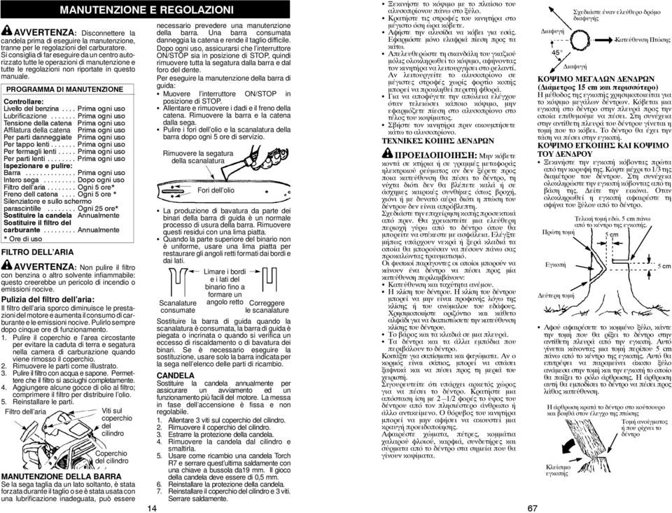 PROGRAMMA DI MANUTENZIONE Controllare: Livello del benzina... Prima ogni uso Lubrificazione.