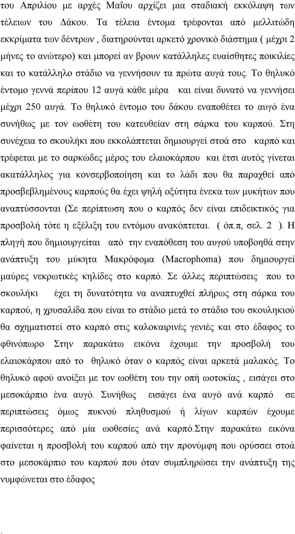 στάδιο να γεννήσουν τα πρώτα αυγά τους. Το θηλυκό έντομο γεννά περίπου 12 αυγά κάθε μέρα και είναι δυνατό να γεννήσει μέχρι 250 αυγά.