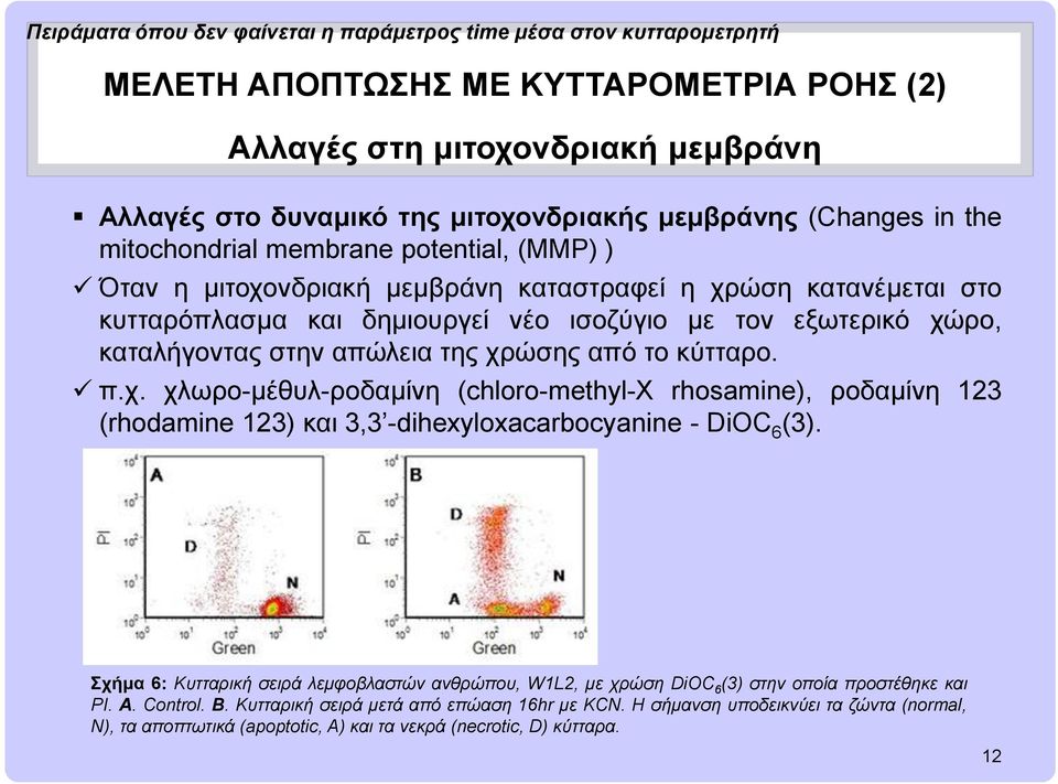 Σχήμα 6: Κυτταρική σειρά λεμφοβλαστών ανθρώπου, W1L2, με χρώση DiOC 6 (3) στην οποία προστέθηκε και PI. A. Control. B. Κυτταρική σειρά μετά από επώαση 16hr με KCN.