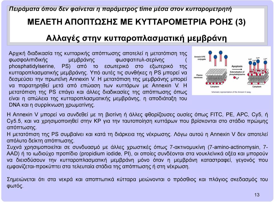 Η μετατόπιση της μεμβράνης μπορεί να παρατηρηθεί μετά από επώαση των κυττάρων με Annexin V.