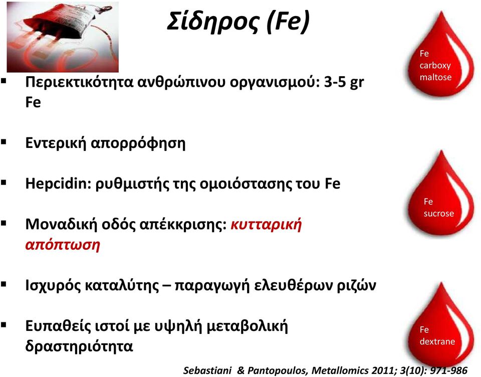 καταλύτης παραγωγή ελευθέρων ριζών Ευπαθείς ιστοί με υψηλή μεταβολική δραστηριότητα Fe