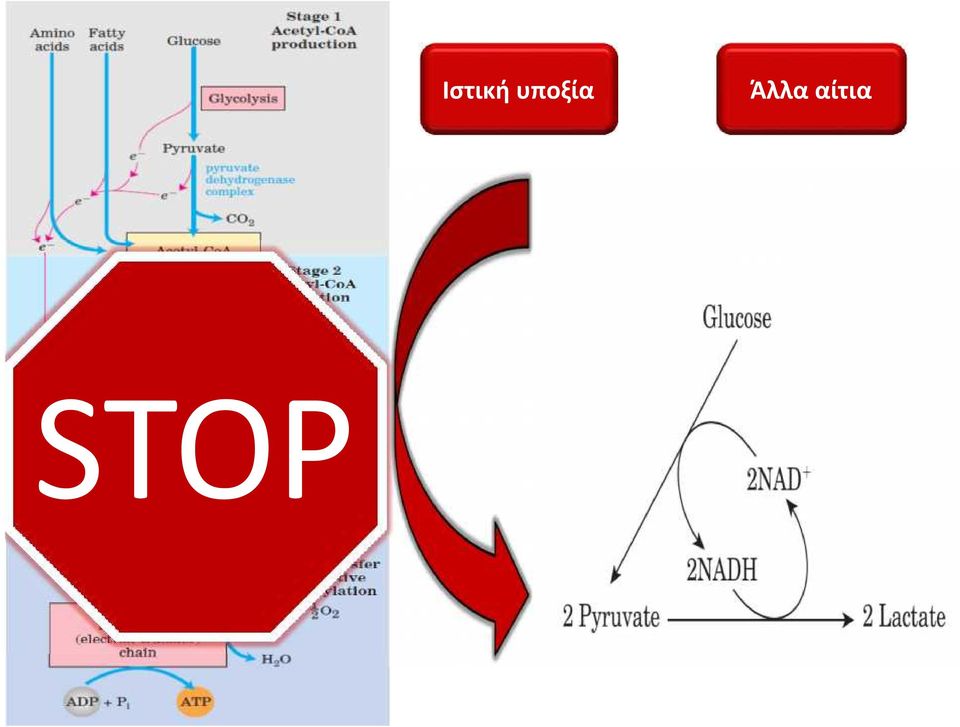 STOP Άλλα