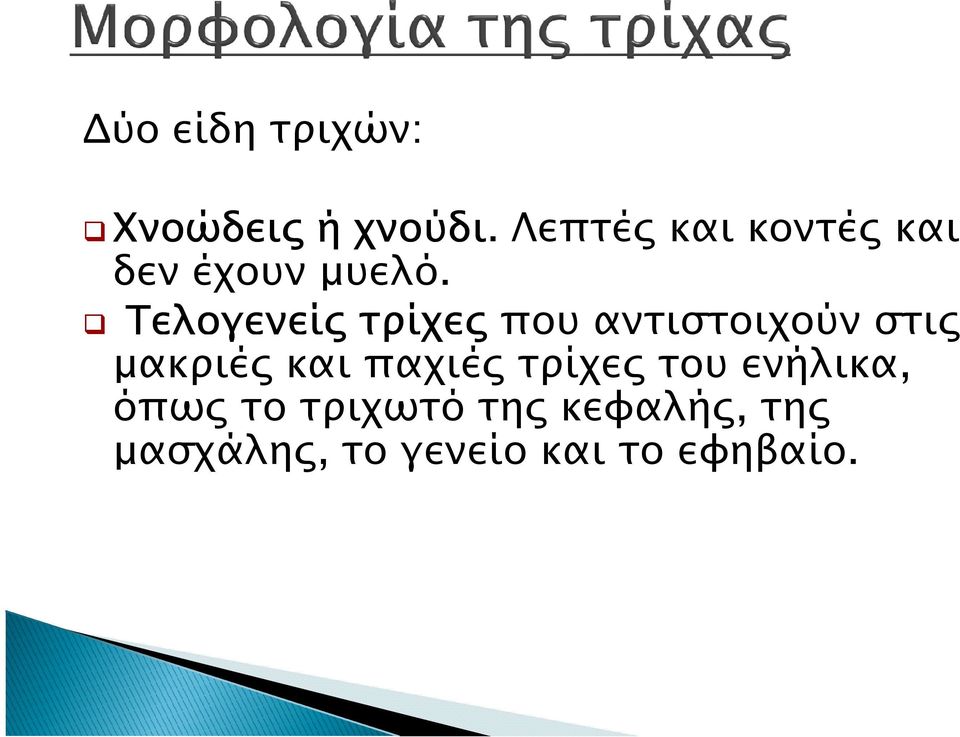 Τελογενεί τρίχε που αντιστοιχούν στι µακριέ και